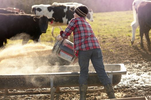 New grant helping to keep farm life safer for all