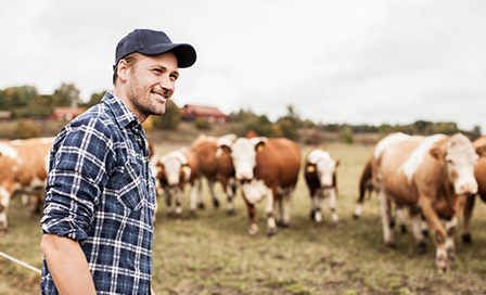 Smiling farmer looking away at field while animals grazing in background