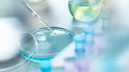 Petri dish with an eye dropper putting in some liquid.